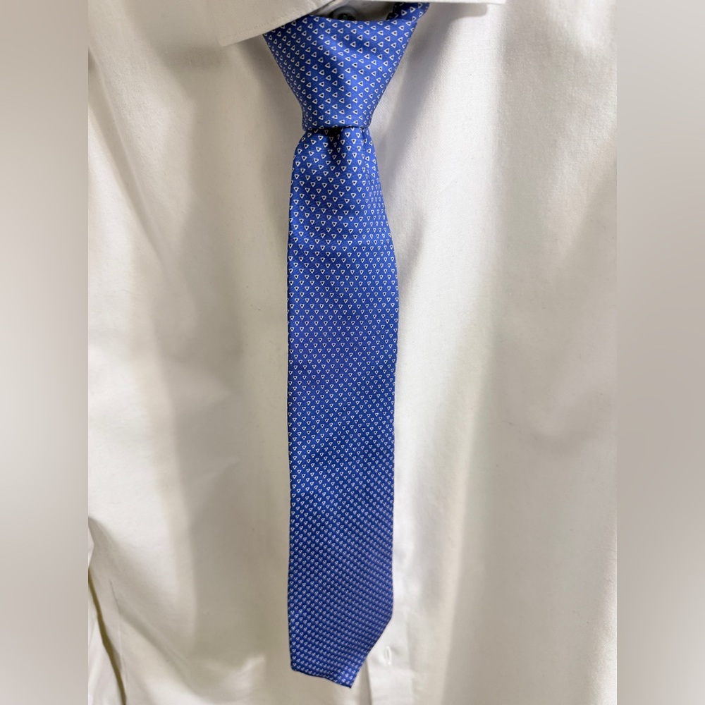 Banana Republic Royal Blue Patterned Tie